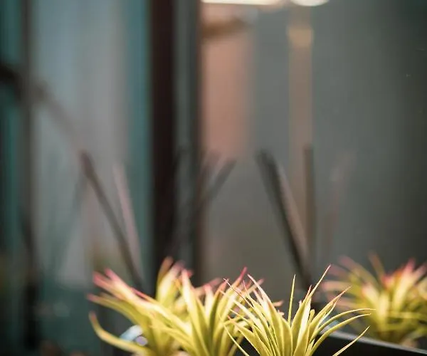 Golden Mountain Aparts * Świeradów-Zdrój