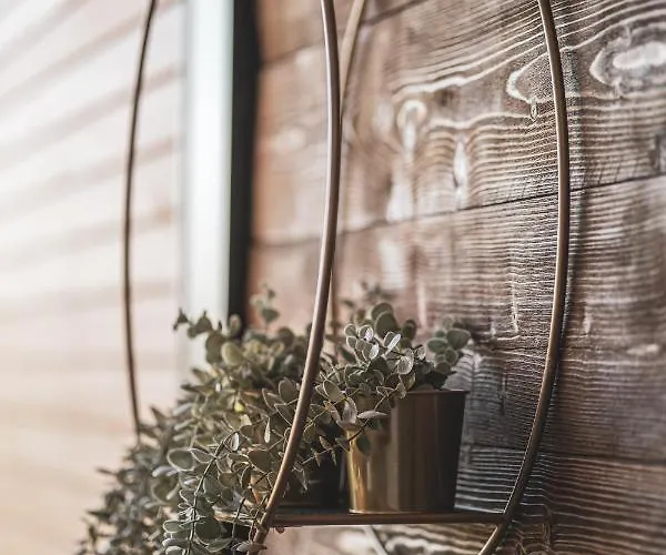 Golden Mountain Aparts Apartmán *